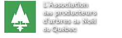 association-producteurs-arbres-noel-quebec