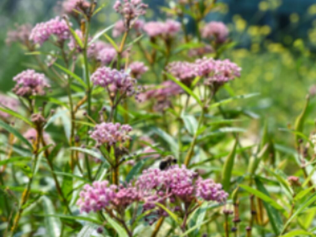 Création sans titre (2)