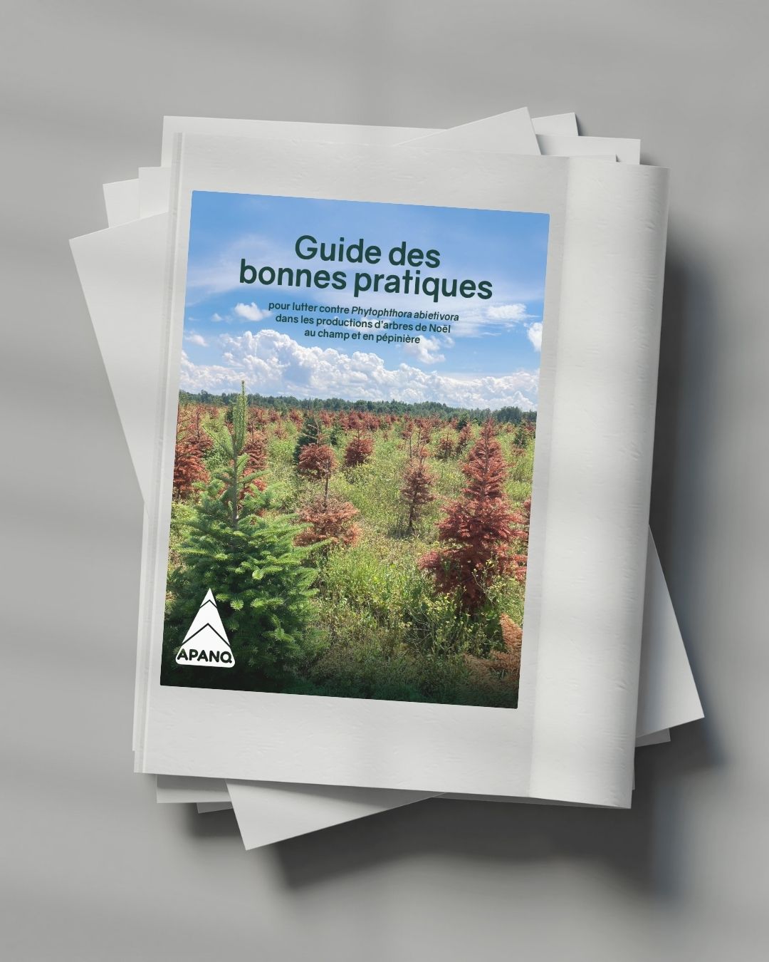 Guide_bonnes_pratique